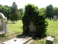 01-05 Müller János, Újlaki